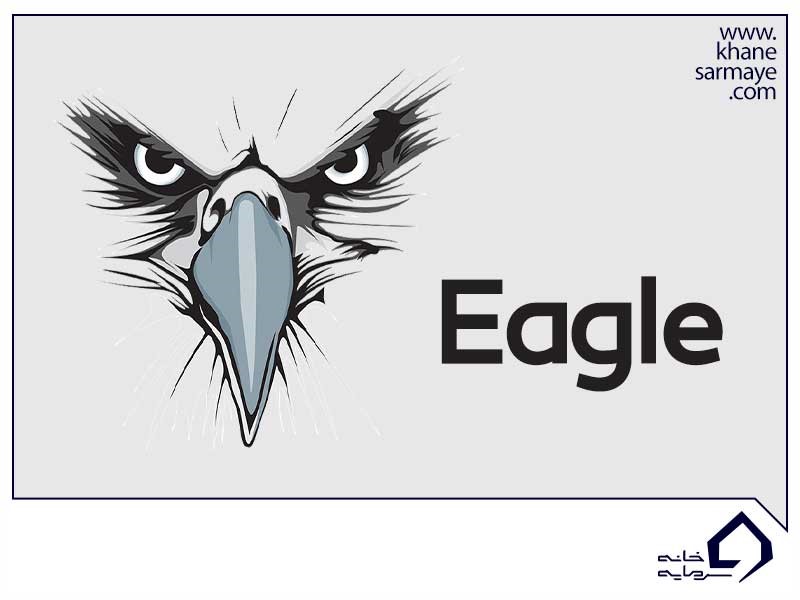 expert-eagle