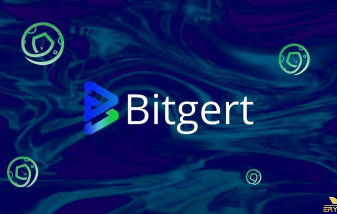 لورس :معرفی کامل ارز دیجیتال بیت گرت Bitgert (برایس Brise)