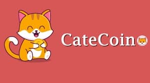 لورس :ارز کت کوین (catecoin) چیست؟