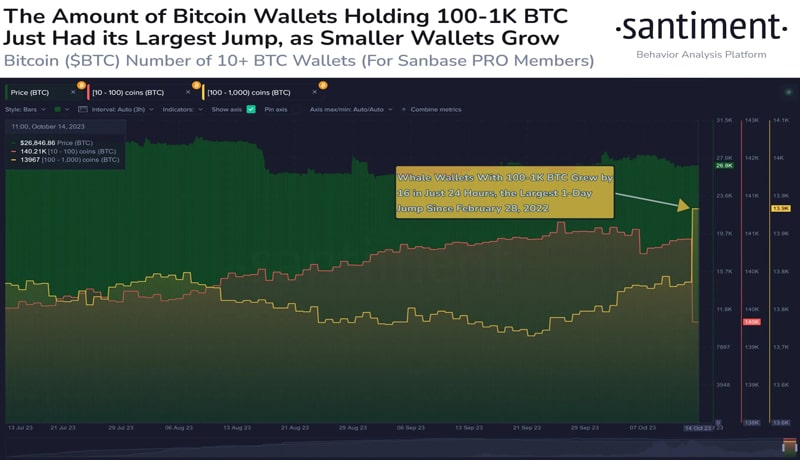 bitcoin-whales-increase