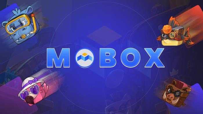 بنیان‌گذاران پروتکل MOBOX چه کسانی هستند؟