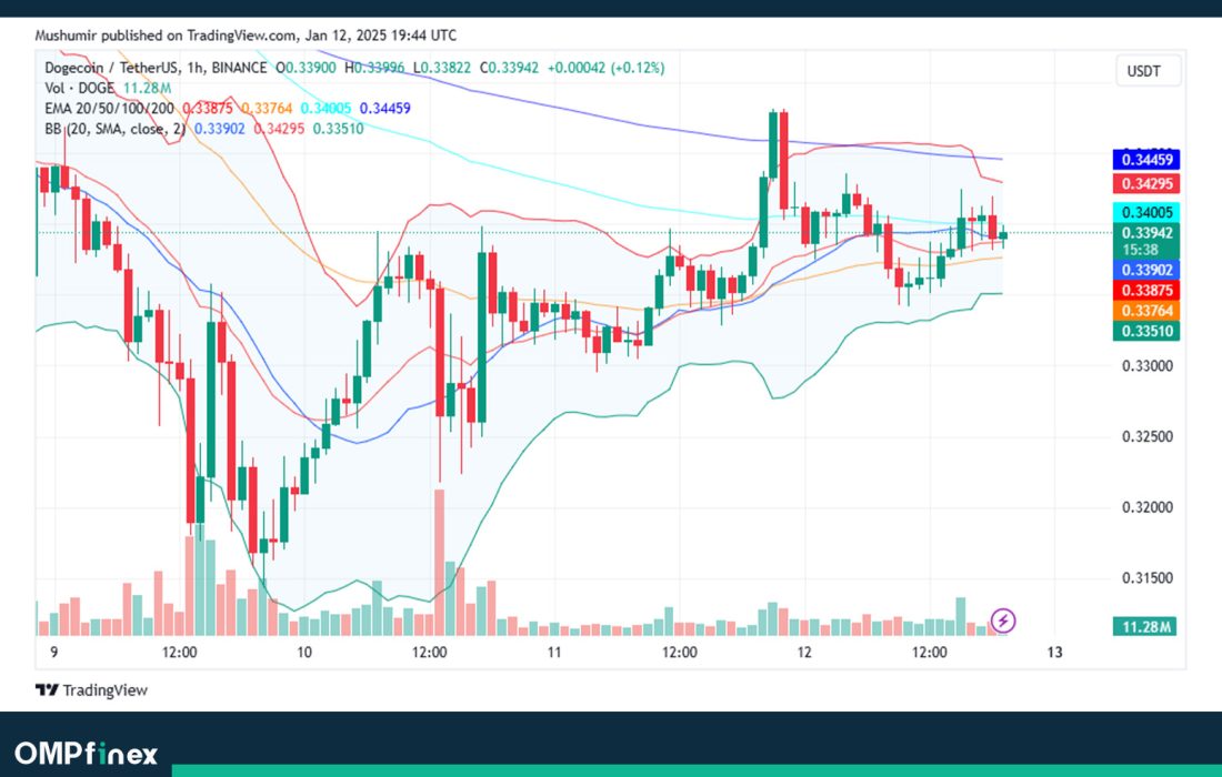 لورس :تحلیل دوج کوین امروز ۲۴ دی؛ بررسی جهت حرکت DOGE