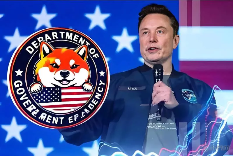 لورس :اداره بهره‌وری ایلان ماسک استفاده از بلاکچین در دولت آمریکا را بررسی می‌کند