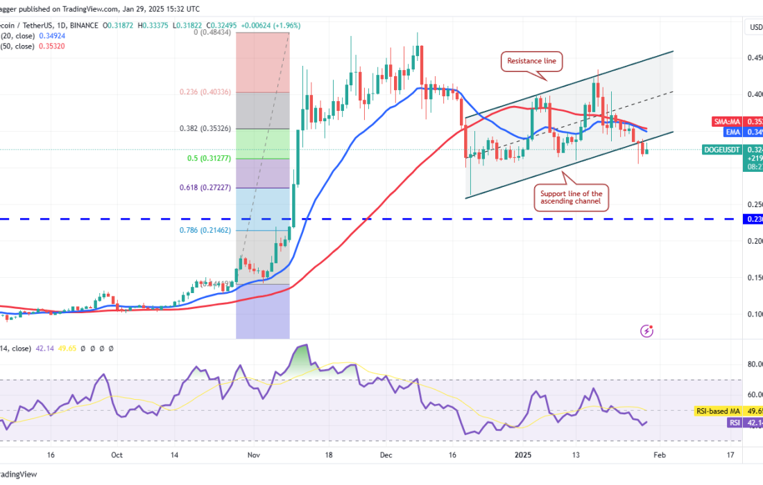 لورس :تحلیل دوج کوین امروز ۱۱ بهمن ۱۴۰۳ 