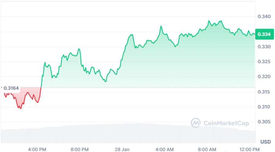 ایلان ماسک به بنیانگذار دوج‌کوین پیشنهاد همکاری داد! آغاز فصلی جدید برای DOGE؟