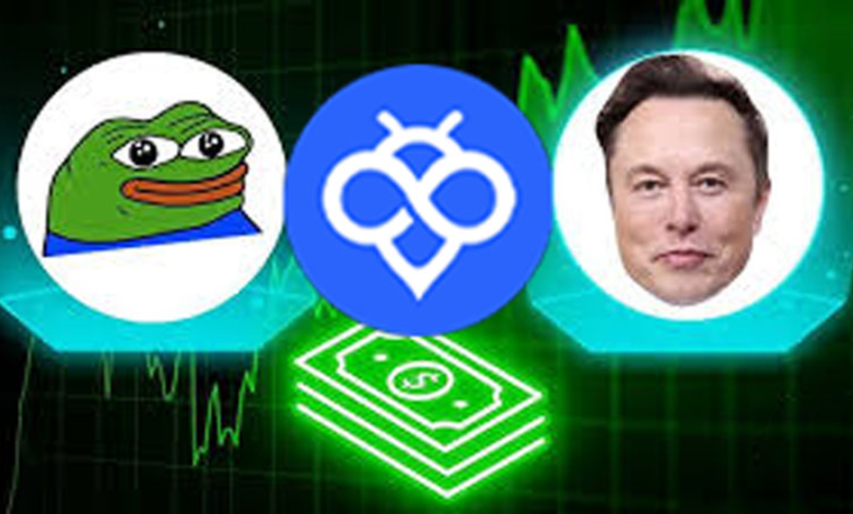 لورس :نقش ایلان ماسک در قیمت ارزهای دیجیتال میم کوین
