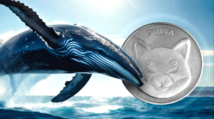 لورس :پیشبینی موج صعودی جدید شیبا اینو؛ نهنگهای خریدار به بازار برگشتهاند!