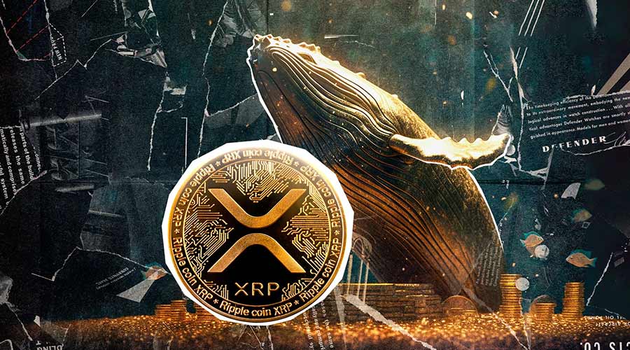 لورس :خبرهای هیجان‌انگیزی برای جامعه ریپل در راه است؛ نهنگ‌ها ۱۲۰ میلیون XRP خریدند!
