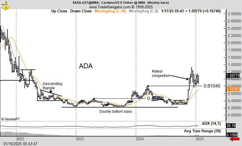 پیش‌بینی تریدر افسانه‌ای درباره بیت ‌کوین و کاردانو؛ اوج‌های قیمتی جدید