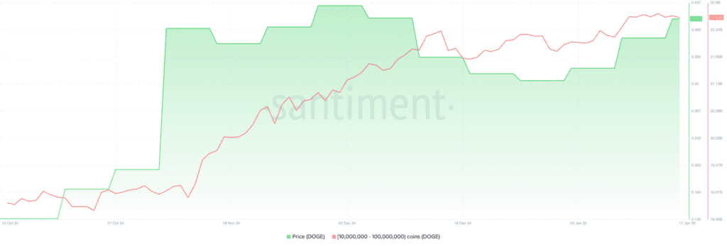 لورس :نهنگ‌های دوج کوین دوباره فعال شدند! آیا قیمت DOGE به ۱ دلار می‌رسد؟