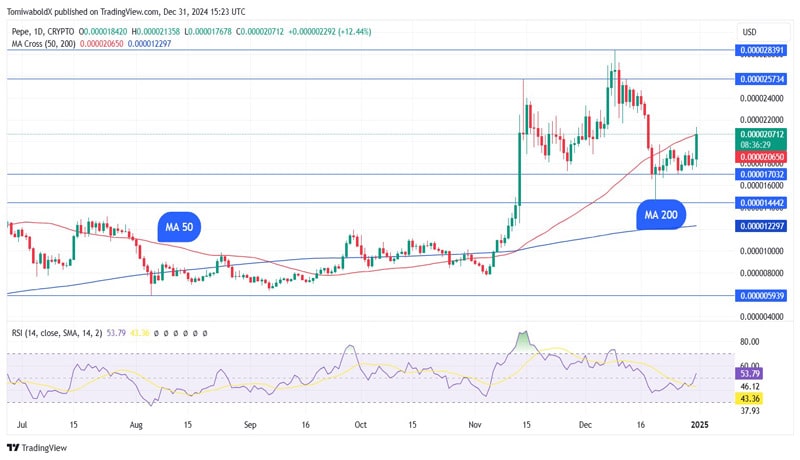لورس :رشد ۲۰ درصدی پپه در یک روز! نقش ایلان ماسک در این جهش غیرمنتظره چیست؟