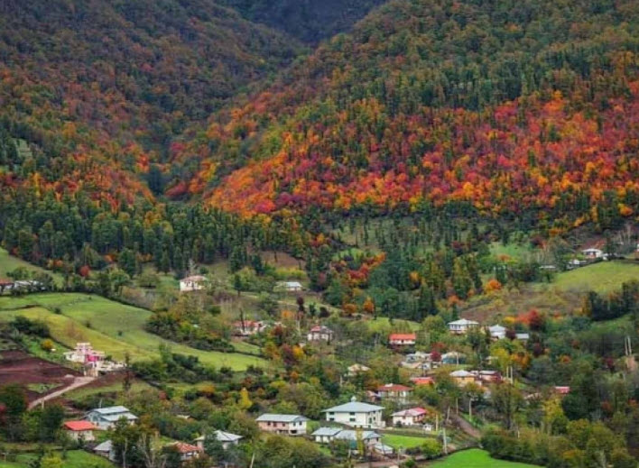 لورس :جنگلهای دیدنی از جنوب تا شمال ایران: کدامها را باید ببینید؟