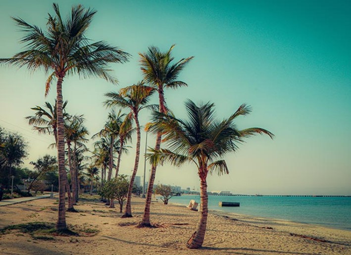 جنگلهای دیدنی از جنوب تا شمال ایران: کدامها را باید ببینید؟