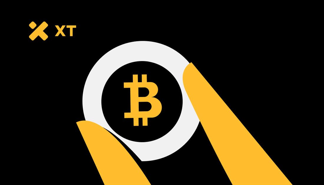 لورس :اثبات ذخایر (PoR) و درخت مرکل (Merkle Tree): استاندارد جدید امنیت در صرافی‌های ارز دیجیتال