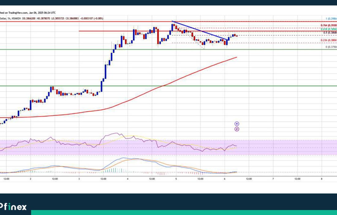 لورس :تحلیل دوج کوین امروز ۱۷ دی؛ تلاش DOGE برای شکستن مقاومت