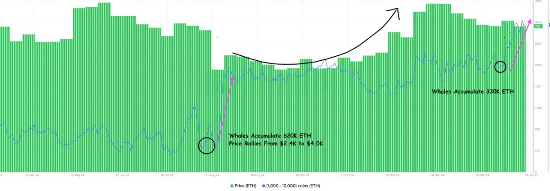 لورس :خرید ۱ میلیارد دلار اتریوم توسط نهنگ ها: ایا ETH به نقطه اوج خود نزدیک است؟