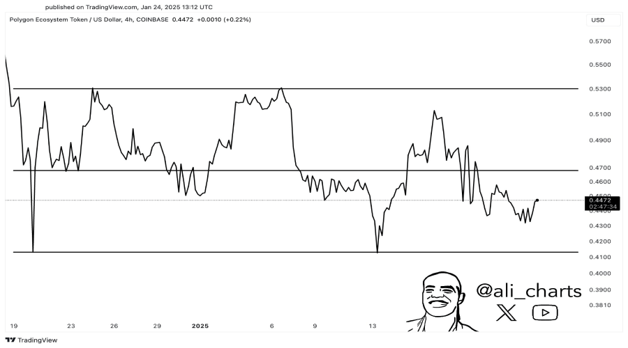 پالیگان در دام شرایط نزولی؛ چگونه از این وضعیت سود ببریم؟