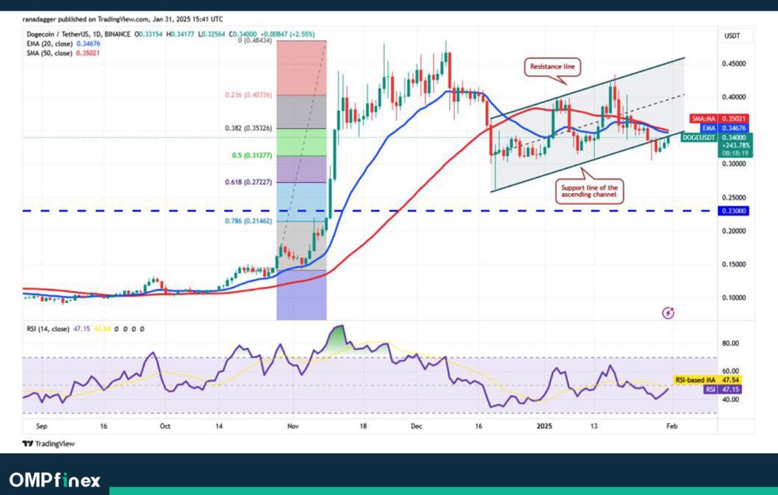 لورس :تحلیل دوج کوین امروز ۱۳ بهمن؛ آیا حمایت DOGE عمل میکند؟