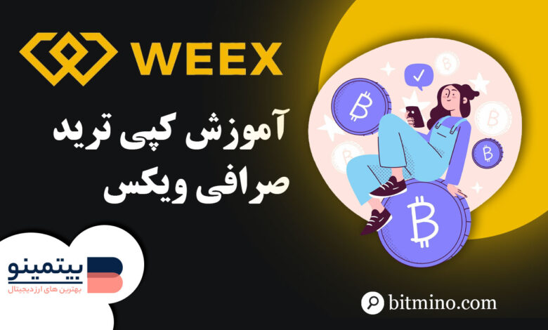 لورس :آموزش کپی ترید صرافی ویکس | استراحت کن و پول دربیار