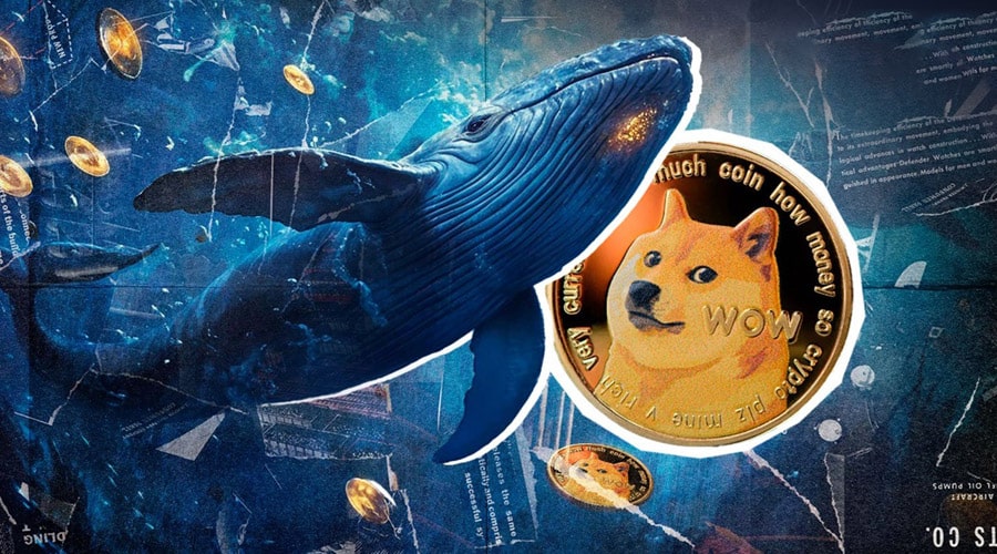 لورس :از راه‌اندازی تراست دوج‌کوین تا خرید ۶۰۰ میلیونی نهنگ‌ها؛ آیا DOGE به ۱ دلار می‌رسد؟