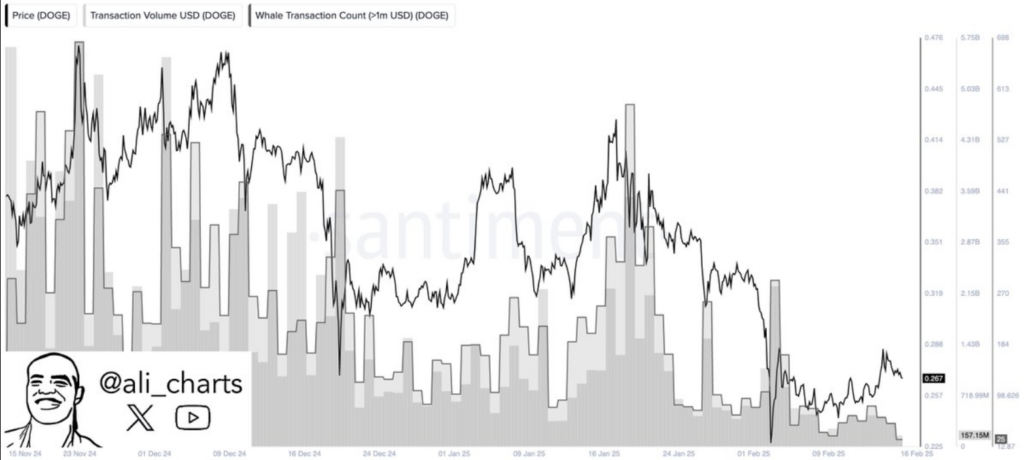 لورس :تحلیل قیمت دوج‌کوین (DOGE)؛ کاهش فعالیت نهنگ‌ها و احتمال افت یا صعود؟