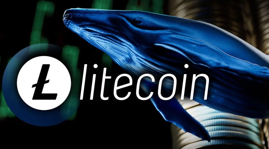 لورس :تأیید ETF لایت‌کوین نزدیک است؟ نهنگ‌ها ۵۱۲ میلیون دلار LTC انباشت کردند!