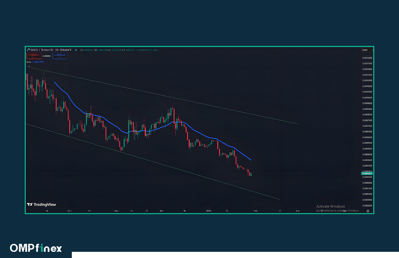 مقایسه نات کوین و داگز
