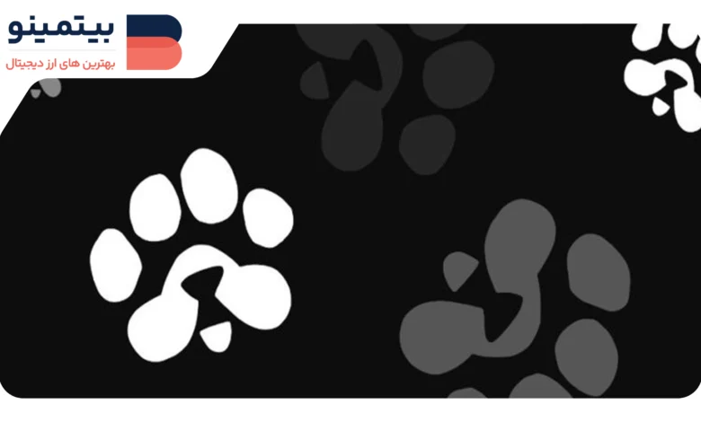 لورس :ایردراپ پاوز (PAWS) قرار است با چه قیمتی در بازار معرفی شود؟