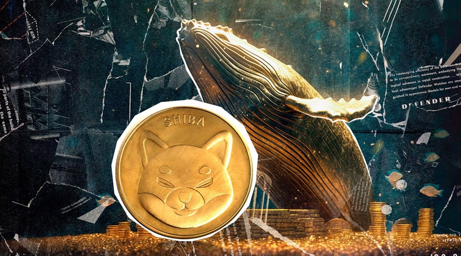 لورس :افزایش ۹۰ درصدی خرید نهنگ‌های شیبا! روند قیمت SHIB بالاخره صعودی می‌شود؟