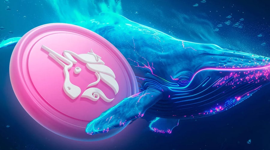 لورس :برداشت ۵۵ میلیون دلار UNI از صرافیها! نهنگها برای جهش قیمت آماده میشوند؟