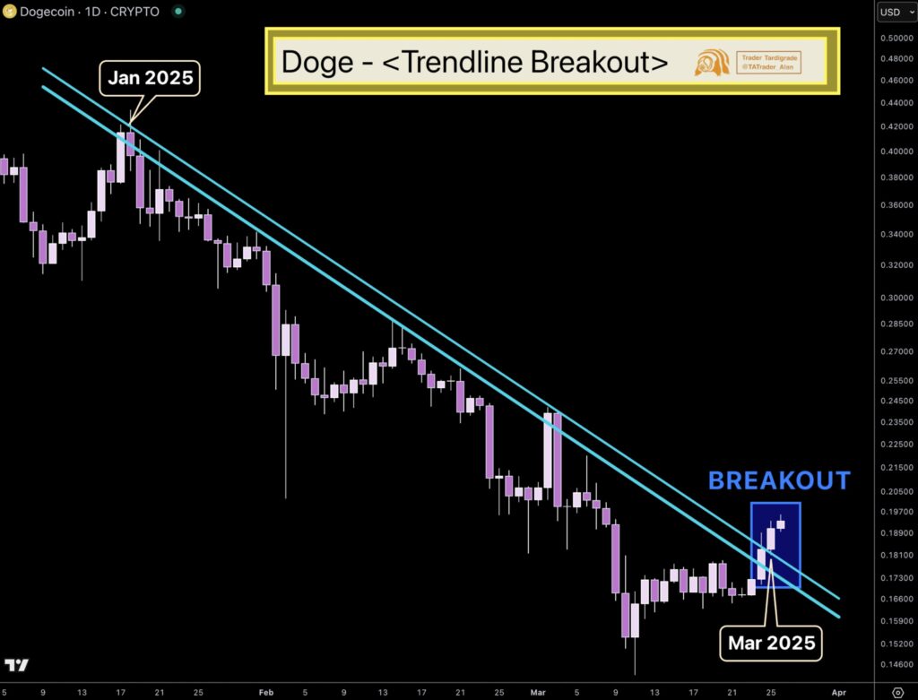 نمودار یک روزه قیمت دوج کوین