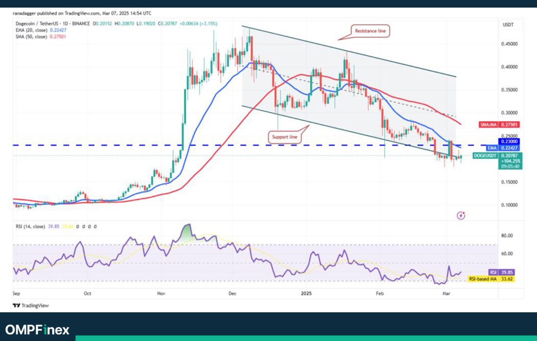 لورس :تحلیل دوج کوین امروز ۱۸ اسفند؛ بررسی ریسک سقوط DOGE