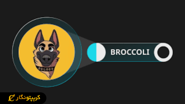 لورس :بایننس؛ لیست میم کوین‌های جدید با شرط رای‌گیری