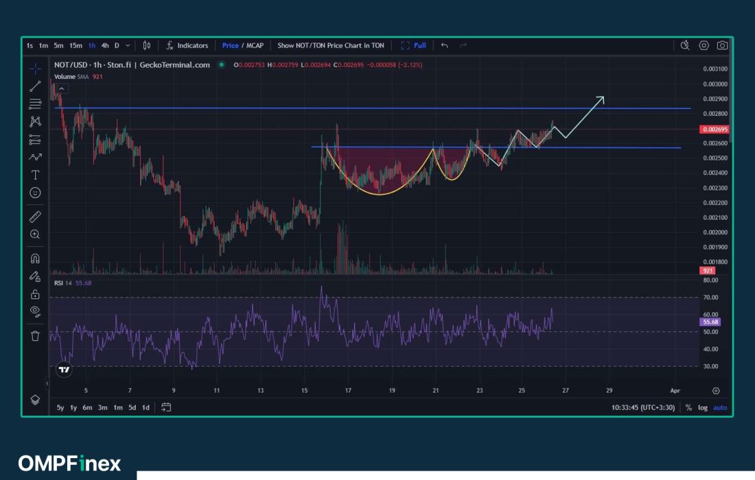 لورس :تحلیل نات کوین امروز ۶ فروردین؛ حرکت به سمت ۰.۰۰۳۰ دلار