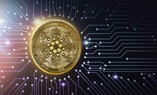 لورس :چطور از کاردانو درآمد غیرفعال داشته باشیم؟ راهنمای کامل استیکینگ ADA