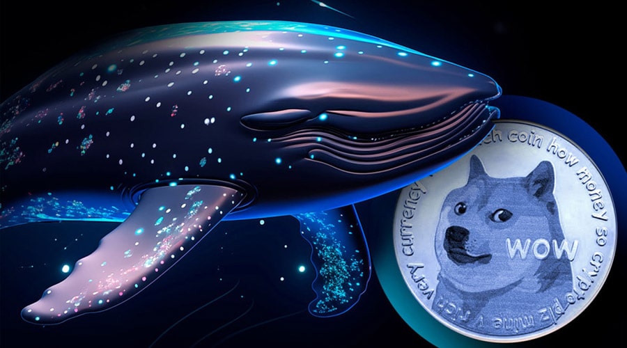 لورس :انباشت ۵۳۰ میلیون دوج‌کوین تنها در ۳ روز؛ خرید نهنگ‌ها در کف قیمتی؟