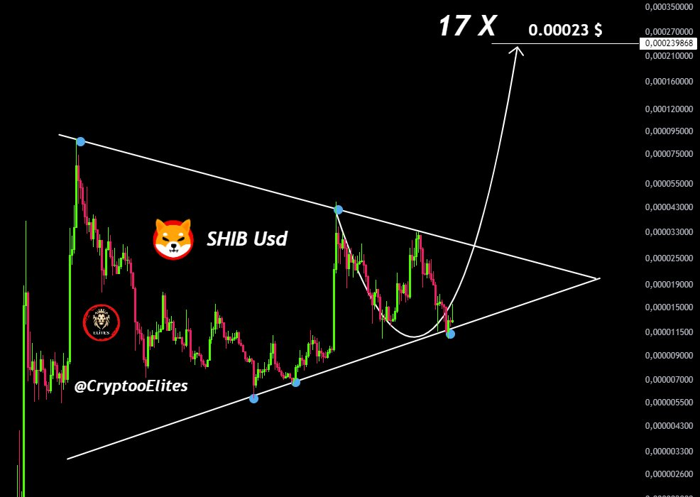 لورس :تحلیل شیبا اینو؛ سرنوشت SHIB چه می‌شود؟