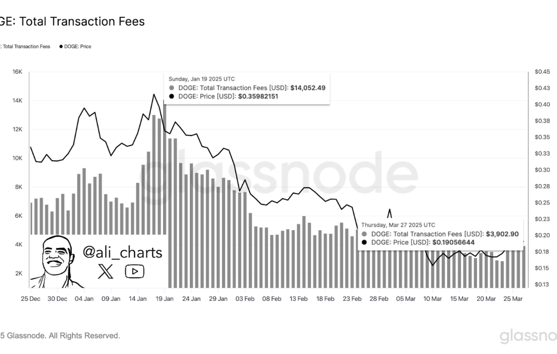 لورس :تحلیل دوج کوین؛ مهمترین حمایتها و مقاومتهای DOGE در کجا قرار دارد؟