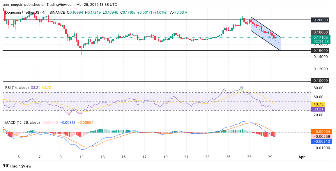 نمودار تحلیل قیمت دوج کوین