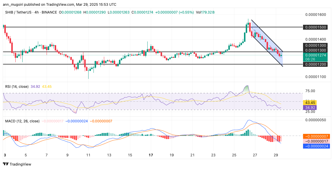 نمودار تحلیل قیمت شیبا اینو همراه با اندیکاتورهای RSI و MACD