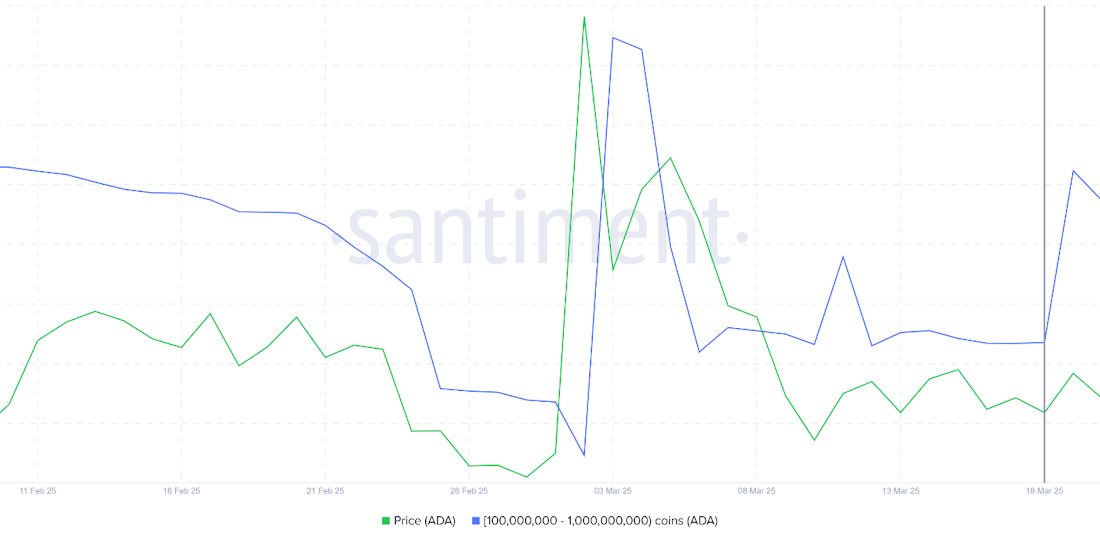 لورس : تحلیل کاردانو؛ آیا خرید نهنگها مسیر صعودی ADA را هموار میکند؟