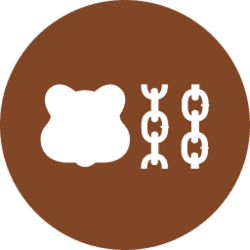 ارز برا چین