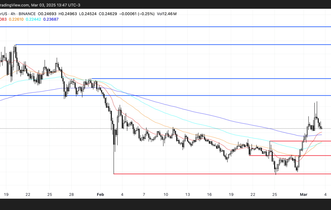 لورس :۵ رمزارز آمریکایی که ممکن است در اجلاس کریپتو ترامپ شگفتی ایجاد کند