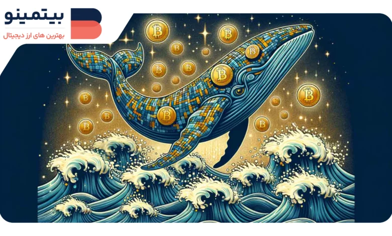 بازگشت تجمع بیت‌کوین توسط نهنگ‌ها و تأثیر آن بر بازار