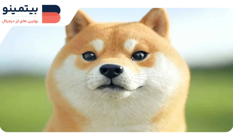 لورس :افزایش ۵ درصدی قیمت دوج‌کوین با خرید ۱۰ میلیون DOGE