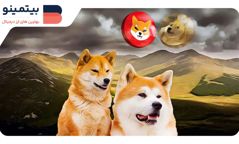 لورس :قیمت دوج‌کوین افزایش می‌یابد: رشد چشمگیر در فعالیت شبکه