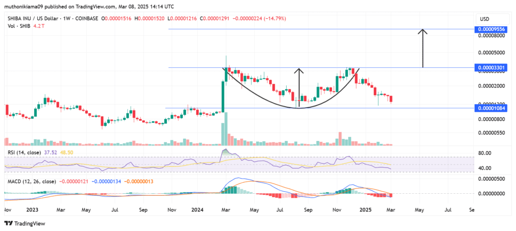 لورس :تحلیلگری که بیت کوین را با قیمت ۱ دلار خریده بود، این بار شیبا اینو را تحت نظر دارد!