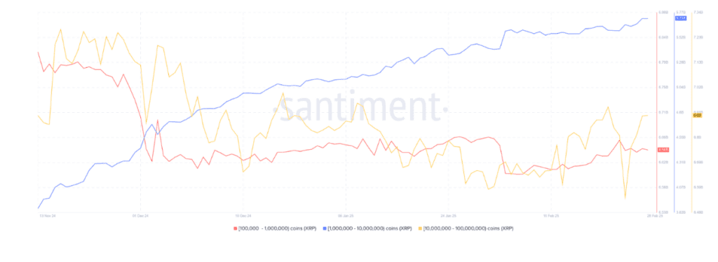 انباشت ریپل توسط نهنگها