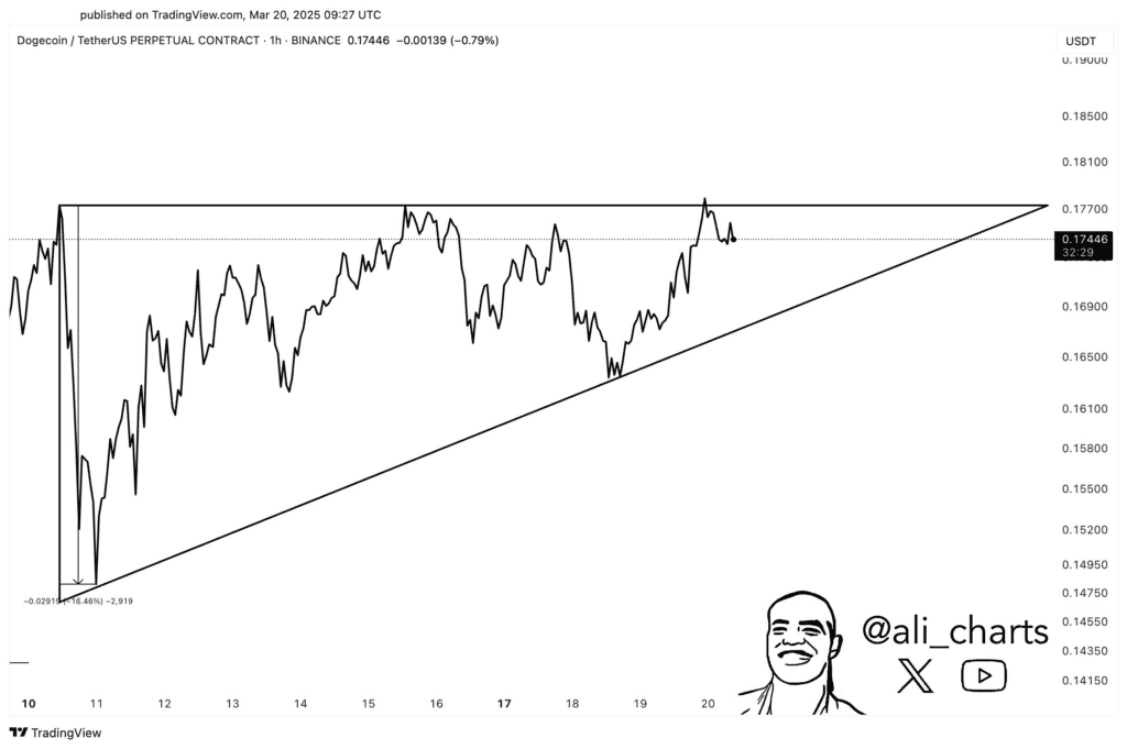 نمودار قیمت دوج کوین آلت کوین