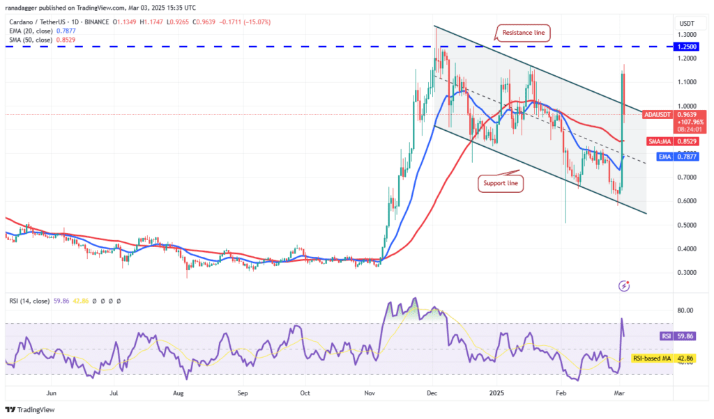 نمودار یک روزه قیمت کاردانو
